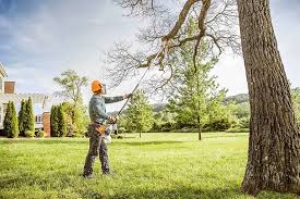 Best Tree Trimming and Pruning  in Newville, PA